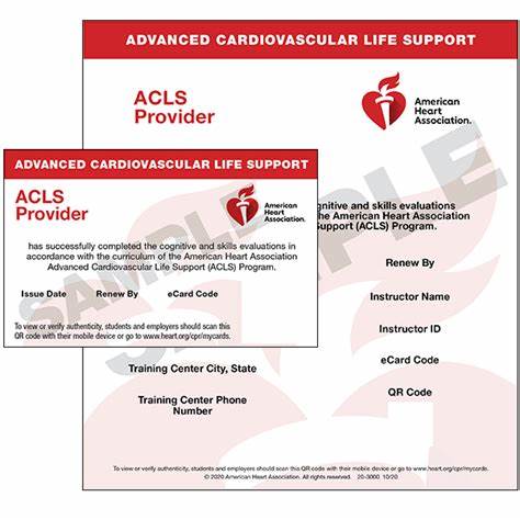 ACLS PROVIDER E-CARDS