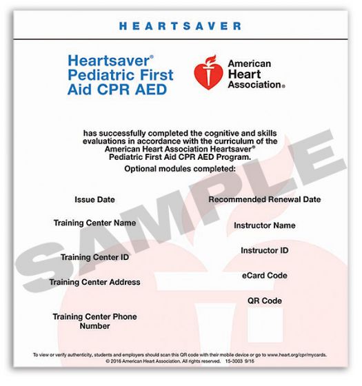 Heartsaver Pediatric First Aid CPR AED E-Card